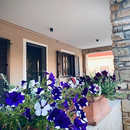 Vi La Mare With Heated Pool Zadar